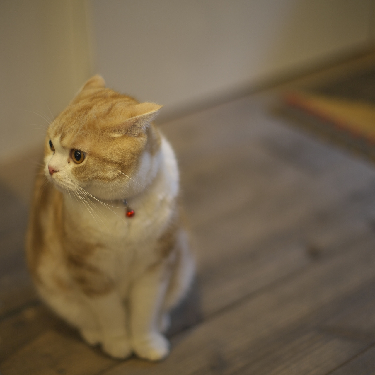 アプローチ
