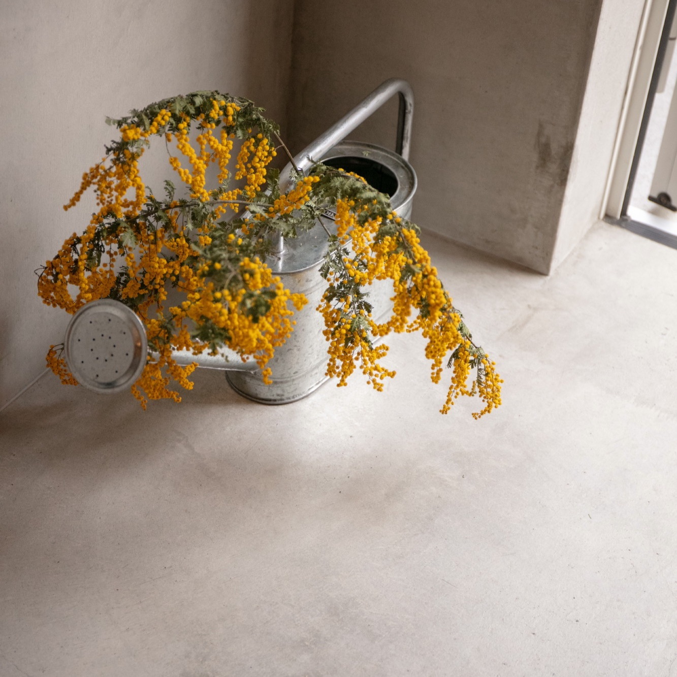ディスプレイ　花