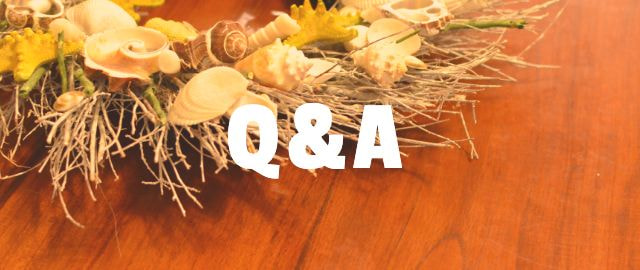 Q&A